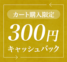 Web購入限定 300円キャッシュバック