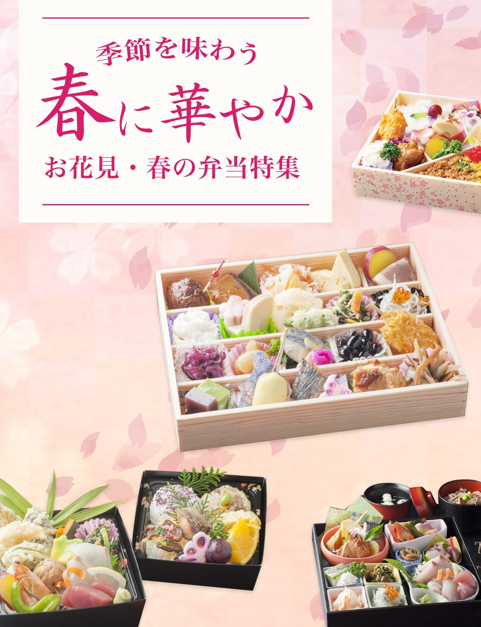 春のお弁当